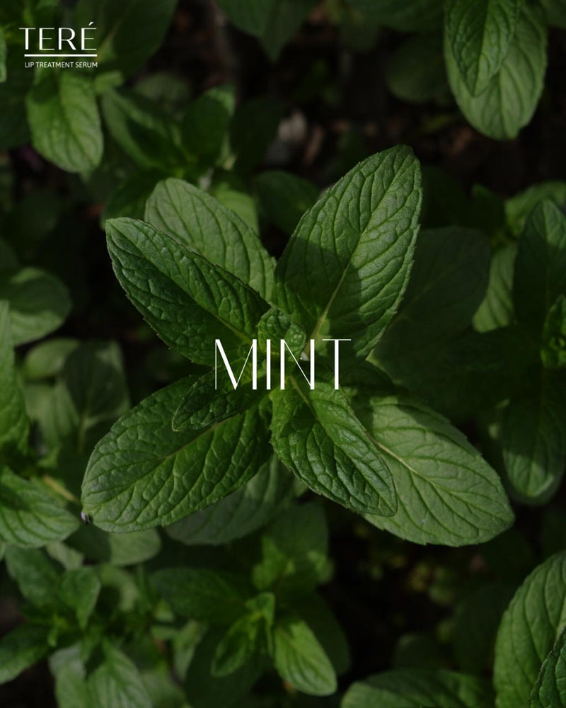 Mint